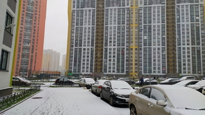 Названы три самых популярных среди угонщиков марки автомобилей в России