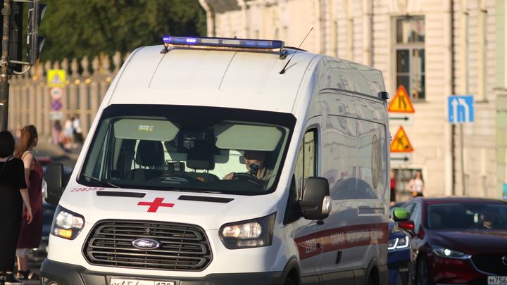Что вызвало массовое отравление детей в петербургской школе