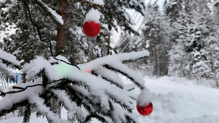 На Кубани ночные температуры опустятся до -18 градусов