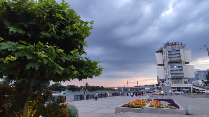 Новости Ростова-на-Дону 23 августа 2022: дерево упало на машины в центре города