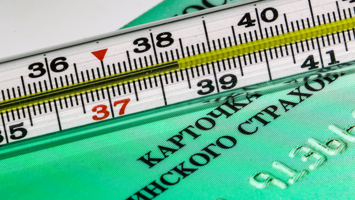 Свиной грипп: как передается, симптомы и лечение