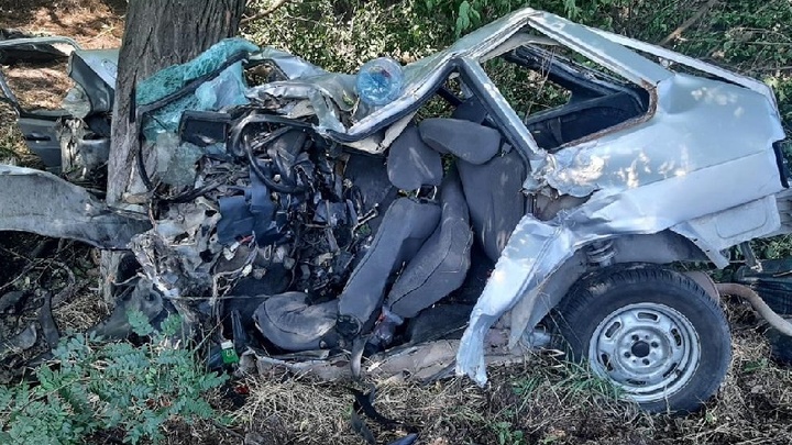 На Кубани легковушка врезалась в дерево, три человека погибли