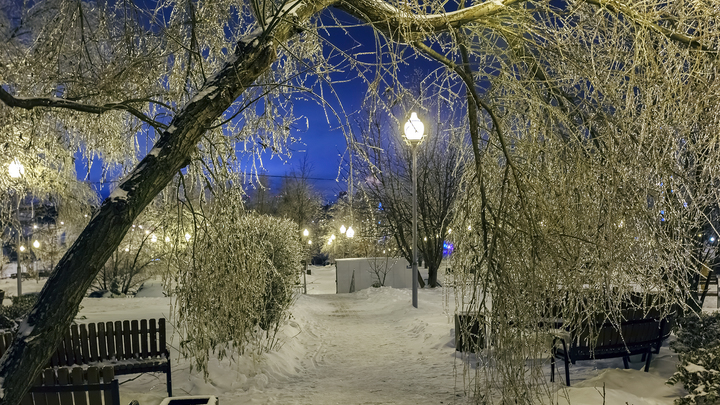 Погода в Санкт-Петербурге на 1 декабря 2022: будет холодно