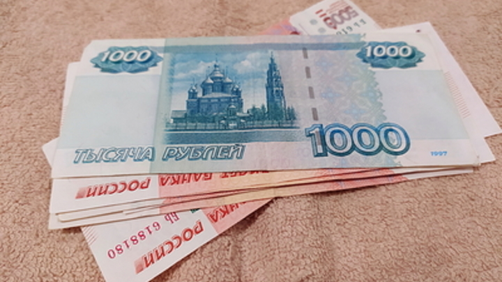 В бюджет Новосибирска на 2023 год добавят 100 млн на поддержку мобилизованных
