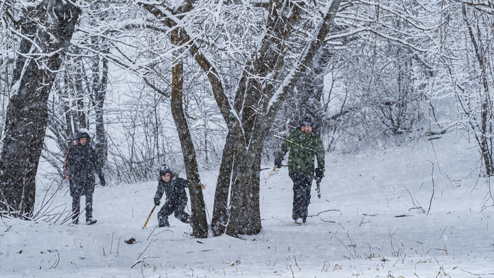 Погода в Санкт-Петербурге на 8 декабря 2022: метель и южный ветер