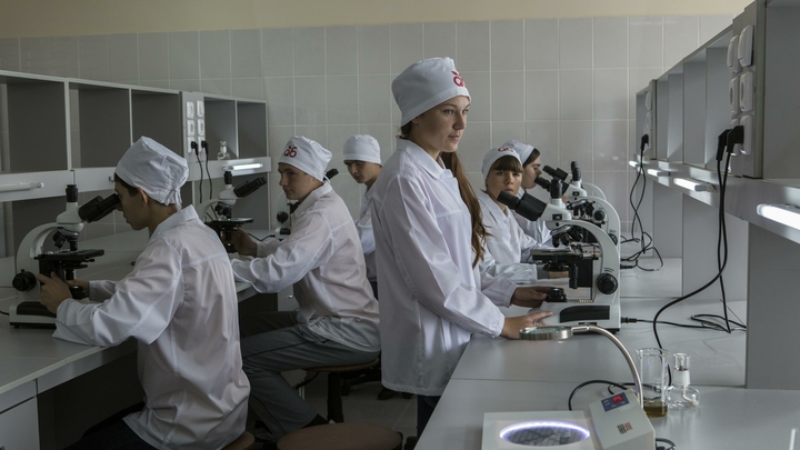 Дети мобилизованных в Челябинской области будут учиться бесплатно