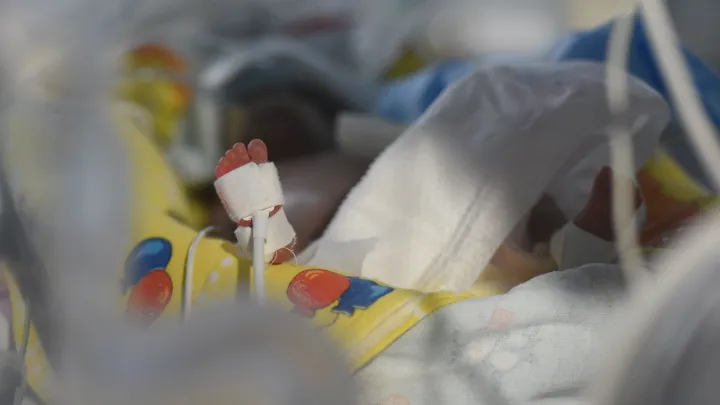 Роддом в Новокузнецке закрыт на 90 суток после гибели младенцев