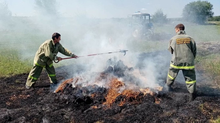 Тушил всем, что было под рукой: Дружинник спас от пожара целый лес в Ростовской области