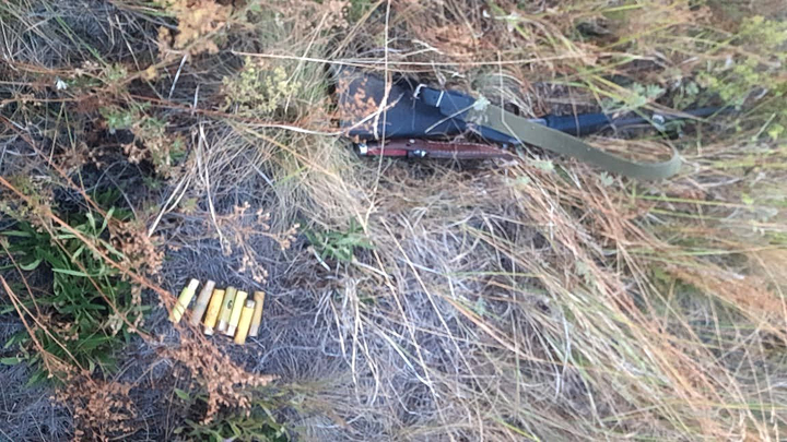 Судимого мужчину с ружьём поймали в реликтовом бору в Челябинской области