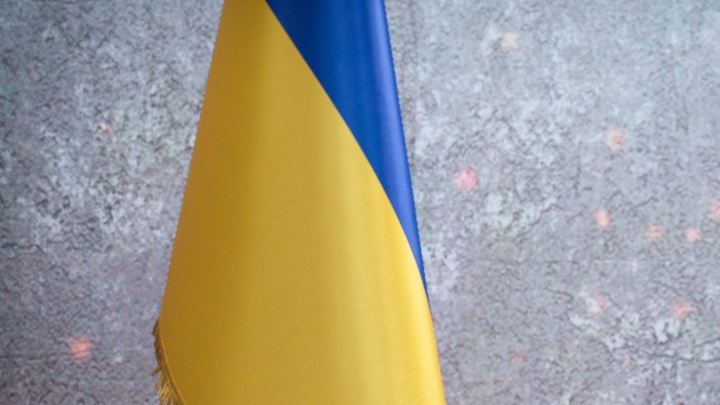 Украинцы устроили драку, пытаясь остановить русских делегатов. И были биты турками