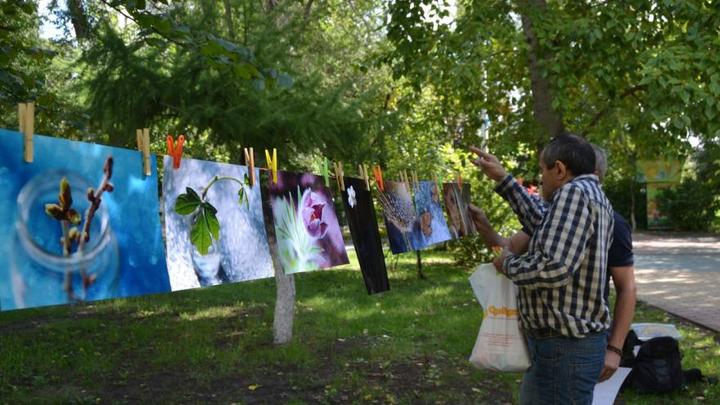 Жителям Кургана предлагают посушить фотографии