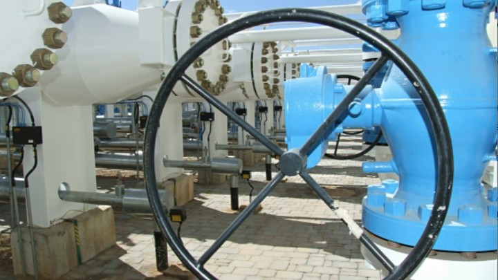 Русские лишили Польшу газа, но поляки продолжают отжигать: Шейнин показал красавчегов