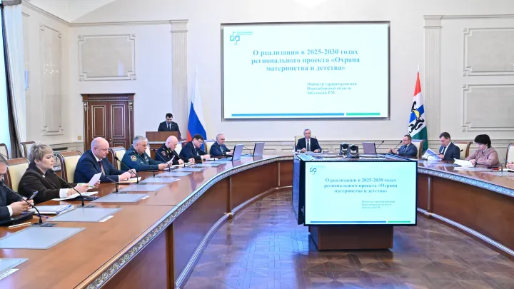 На проект Охрана материнства и детства в Новосибирской области запланировано почти 2 млрд рублей