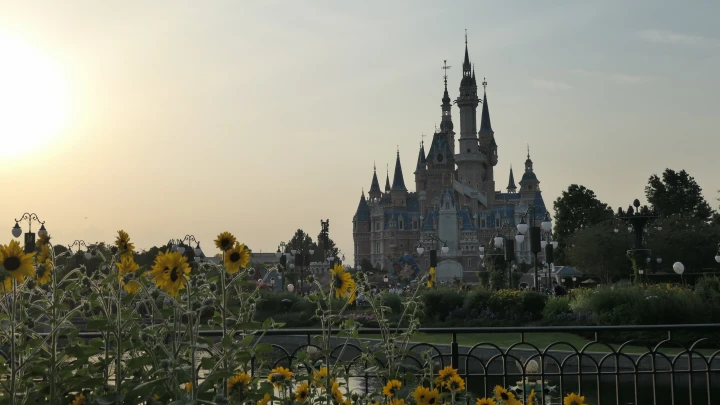 Сотни тысяч датчан – за: Общественники Дании предложили властям выкупить американский штат