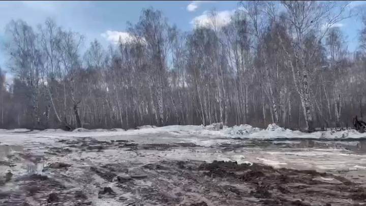Свалка костей и черепов пропала в Челябинске
