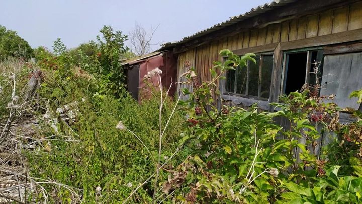 В Самарской области псевдофермер незаконно получил помощь от государства