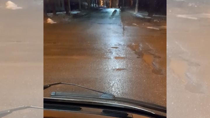 В Челябинской области автомобили ломаются в дорожных ямах