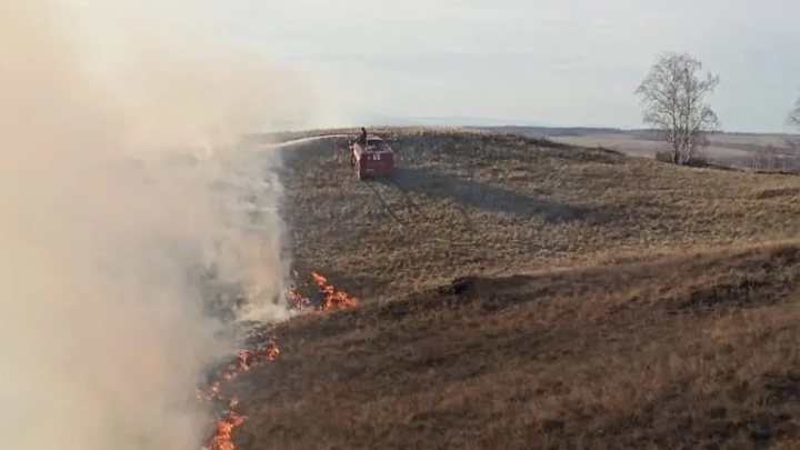 В Челябинской области начали гореть леса