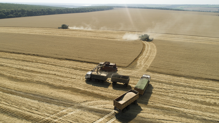 Зерновой потенциал новых регионов оценили в 4-6 млн тонн ежегодно