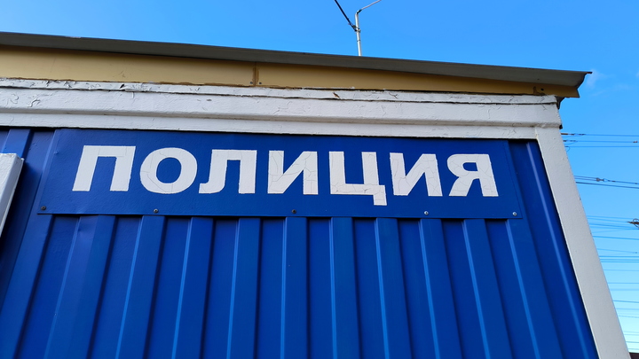 В Волгограде мать двоих детей заявила о похищении после 20 дней отсутствия дома
