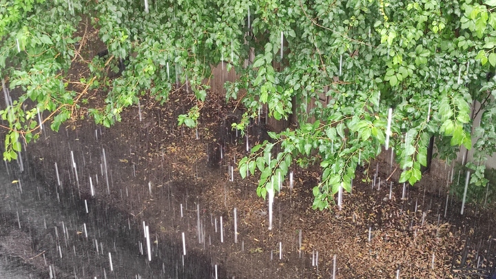 Погода в Ростове-на-Дону 24 мая 2023: прогноз синоптиков