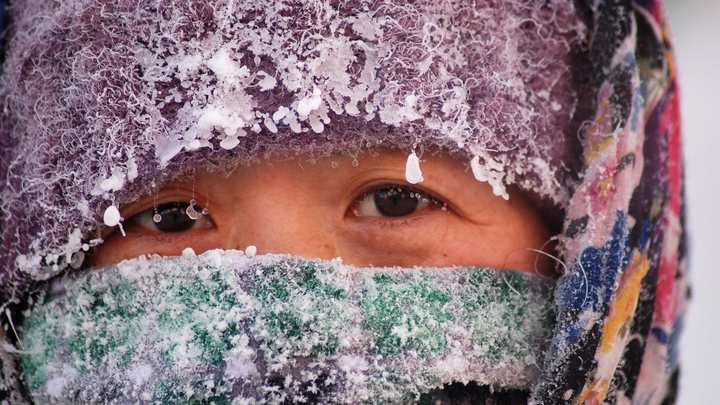 Повезло с погодой? Русские оказались умнее американцев, участвуя в Дубак челлендж
