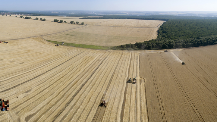 ВСУ поджигают пшеничные поля на границе с Херсонщиной — Стремоусов