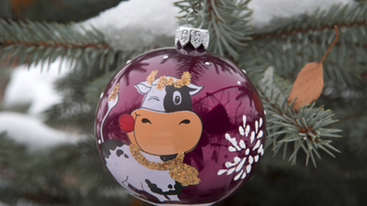 Угрожали, что сожгут: Украинскую фабрику заставили уничтожить заказ для России