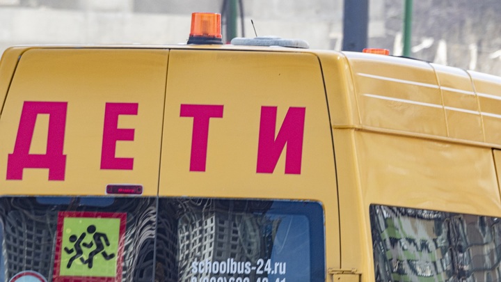 Детей в России учат русофобии - депутат требует провести проверку