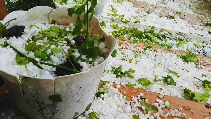 На Кубани с 8 по 10 февраля ожидаются ливни с грозой и градом