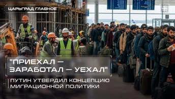 Приехал — заработал — уехал. Путин утвердил концепцию миграционной политики