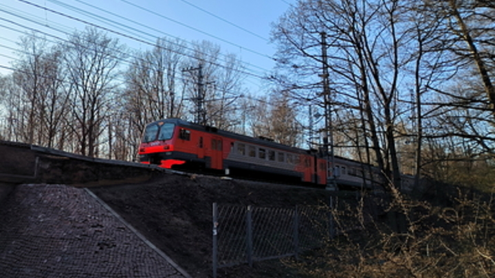 На диверсию под Брянском отреагировали в Белоруссии: Делегация уже выехала на место