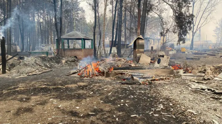 В Смоленке не менее 10 участков СНТ пострадали от пожара