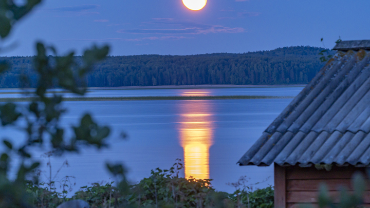 В Кенозерском нацпарке нашли редкий документ 17 века