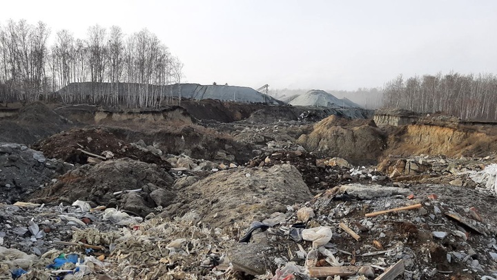 В Челябинске обнаружили горы черепов