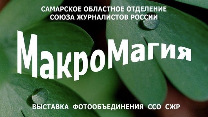 Разглядеть все: на интерактивной стене на площади славы появилась новая экспозиция