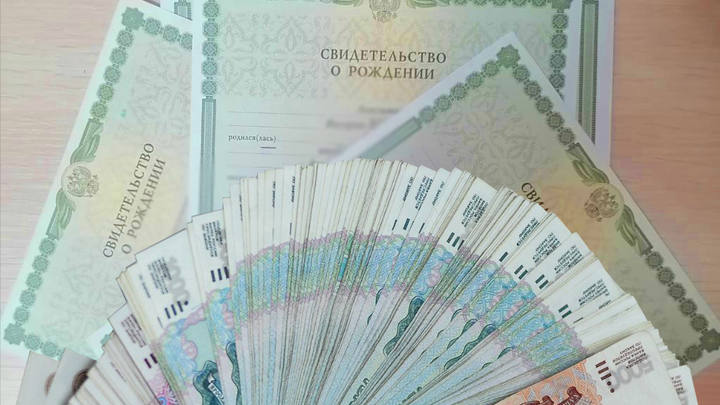 В Самаре многодетная мать заработала на виртуальном ребенке