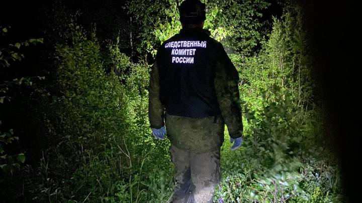 Следком: труп найденного Романа Куркина не содержит признаков насилия
