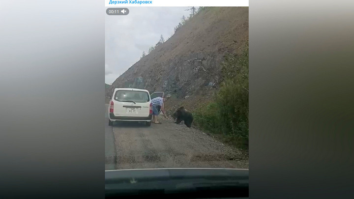 Бесстрашный мужчина покормил медведя с руки на трассе в Хабаровском крае