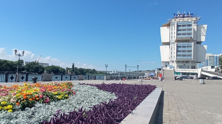Жару +37 градусов спрогнозировали синоптики в Ростове