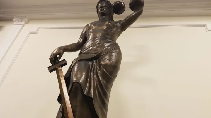 Суд встал на защиту семьи: многодетные Мажевские чуть не попали под «схему Долиной»