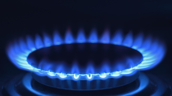 Санкции делают Россию только богаче: Германия заплатит Москве за ресурсы рекордную сумму - DWN