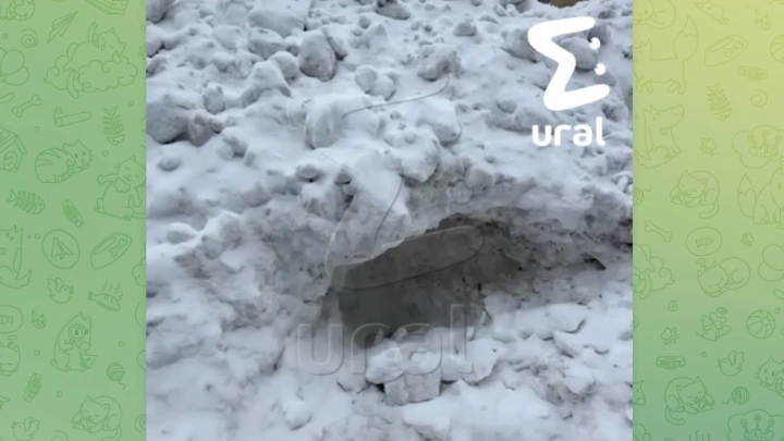 Водитель погрузчика завалил ребёнка снегом из ковша в Прикамье