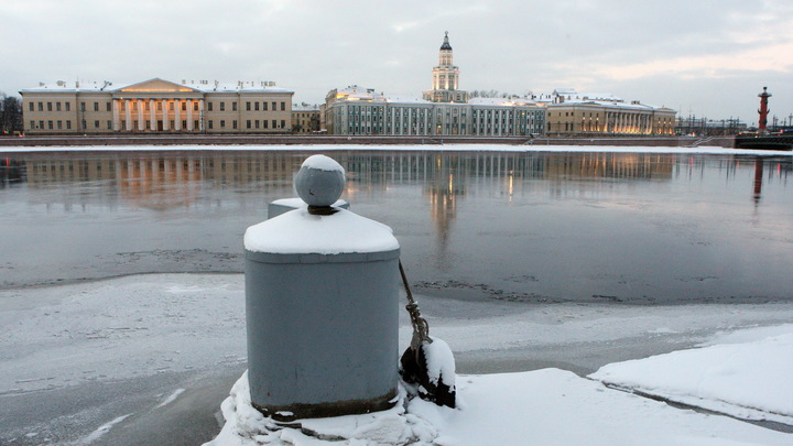 Петербуржцы в TikTok выберут красный наряд для Дворцового моста