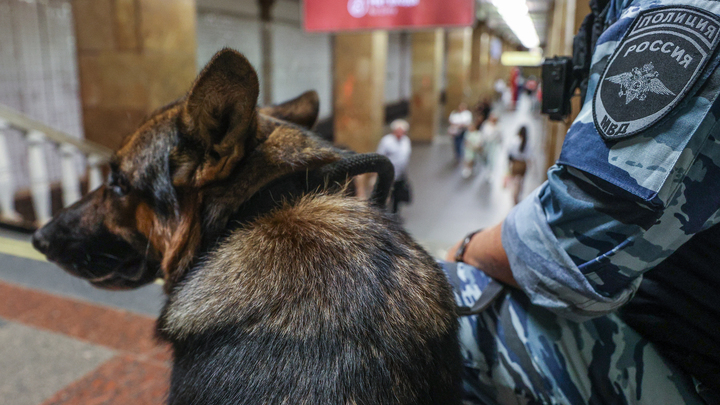 В Новосибирске 30 ноября эвакуировали малышей из детского сада №59