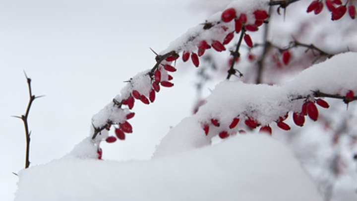 В горах Сочи сугробы выросли до 1,5 метров