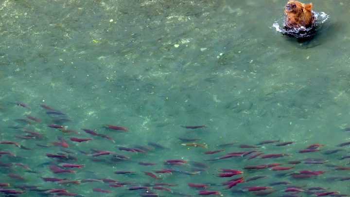 Затронет сотни миллионов людей: Часть стран может уйти под воду - климатолог