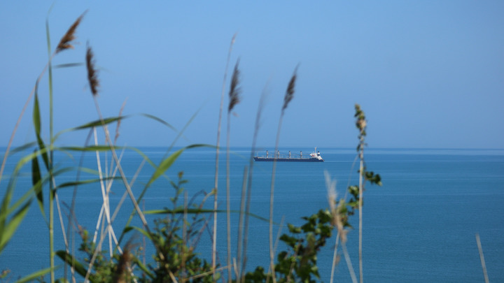 Есть жертвы? Спасённые с затонувшего сухогруза моряки поделились тревожными опасениями