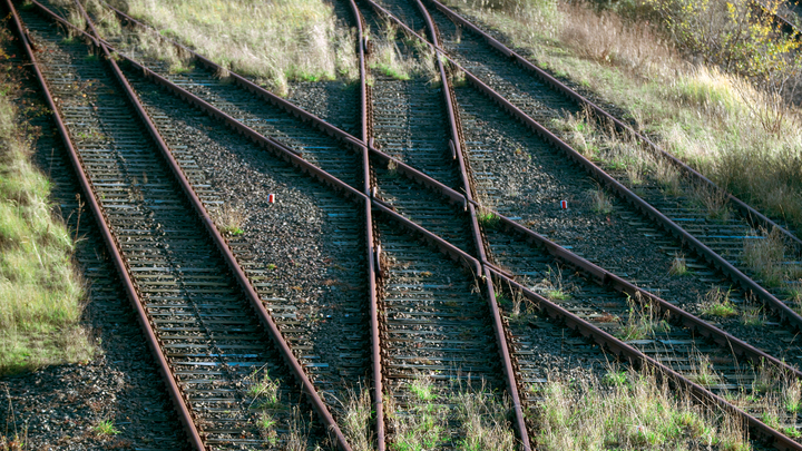 В Калининграде подсказали, как одёрнуть Литву