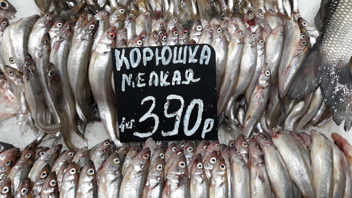 Нева и Финский опасно перегрелись: корюшку от гибели может спасти теперь только одно